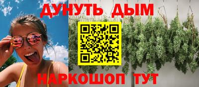 скорость Жуковский