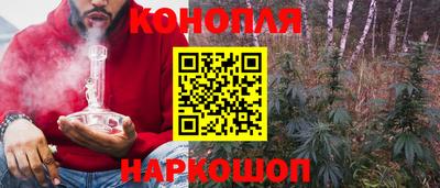 PSILOCYBIN Заводоуковск